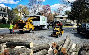 Best Tree Trimming and Pruning  in Denton, NC